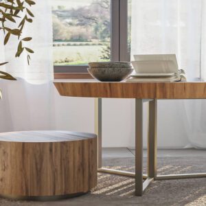 Ring Coffee Table