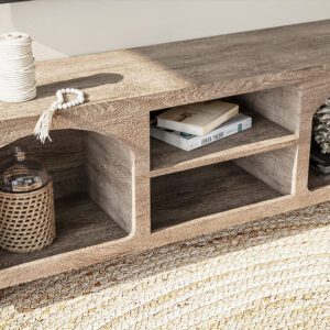Coral TV Unit