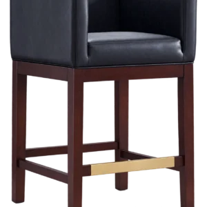 Martini Bar Stool